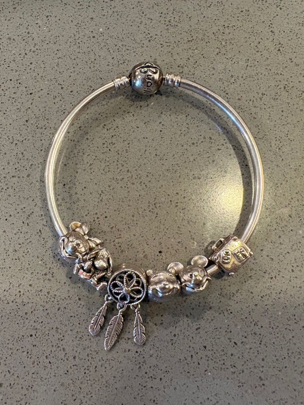 Pandora bangle with 7 charms